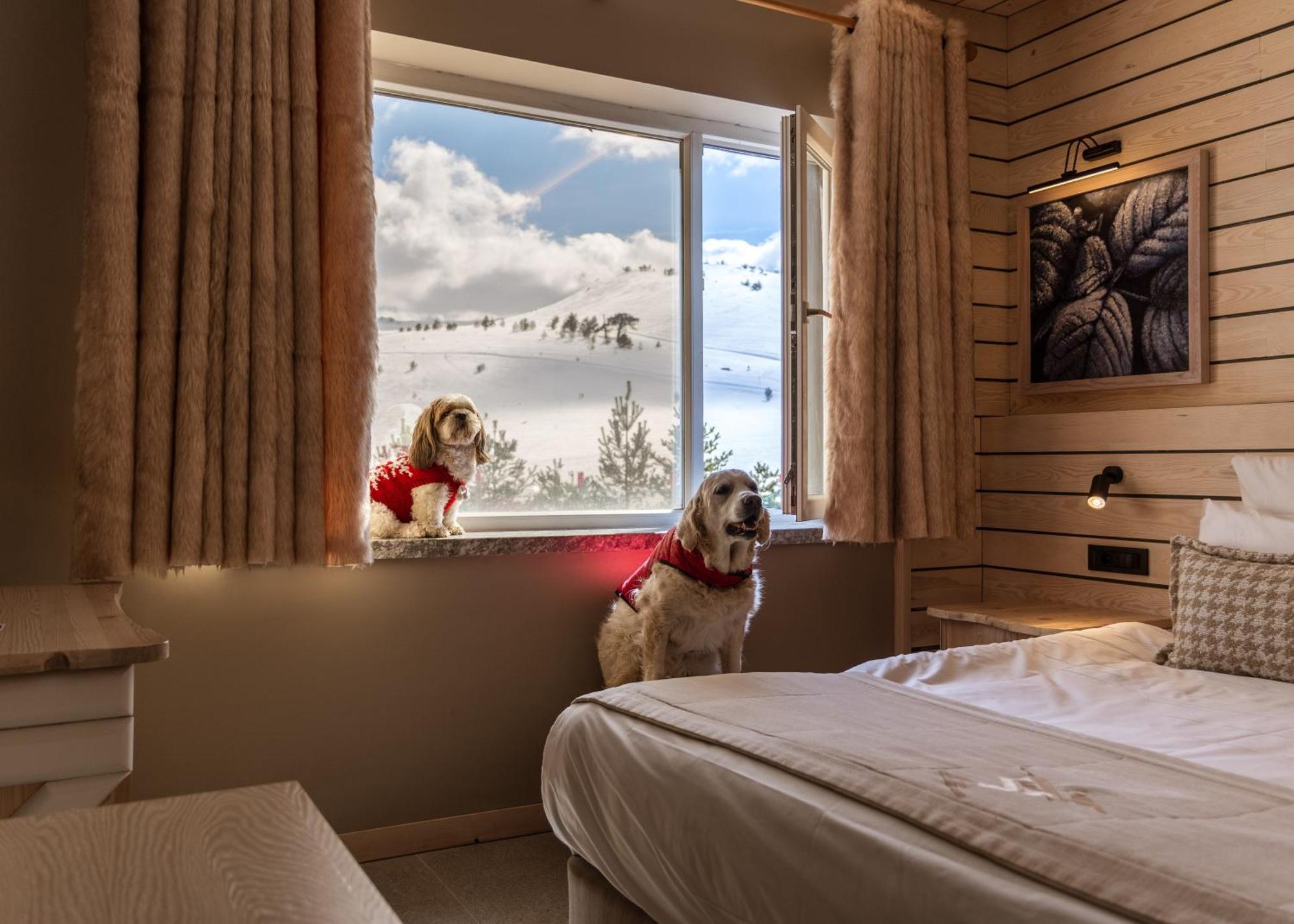 Kartal Hotel Kartalkaya Екстериор снимка